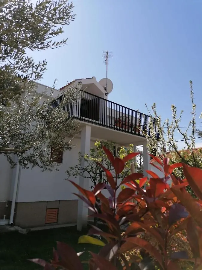 Apartment Magnolia بيتريتْشاني